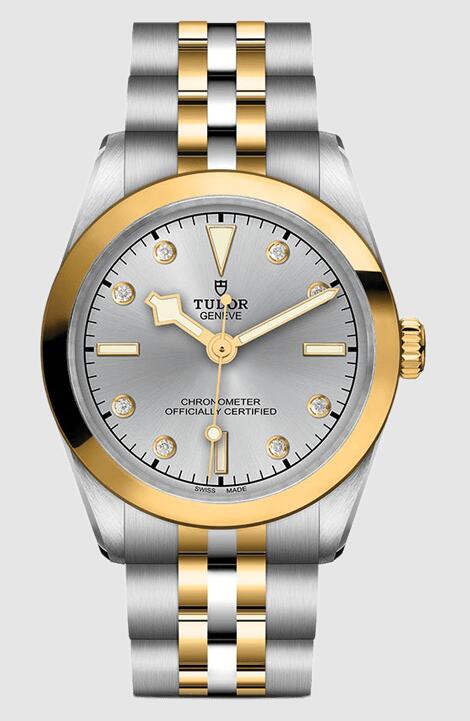 Tudor Black Bay 31 S&G 79603-0007 Replica Watch